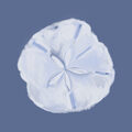 Image Not Available
